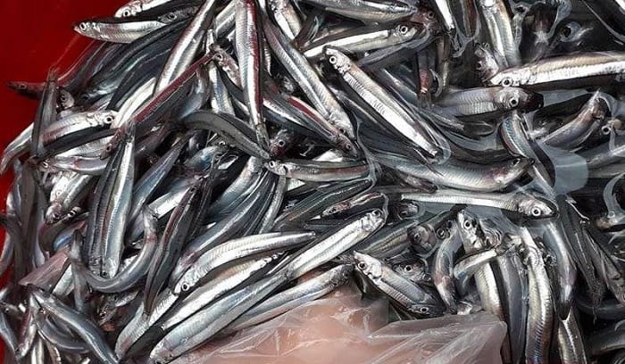 Quy trình làm nước mắm nam ô