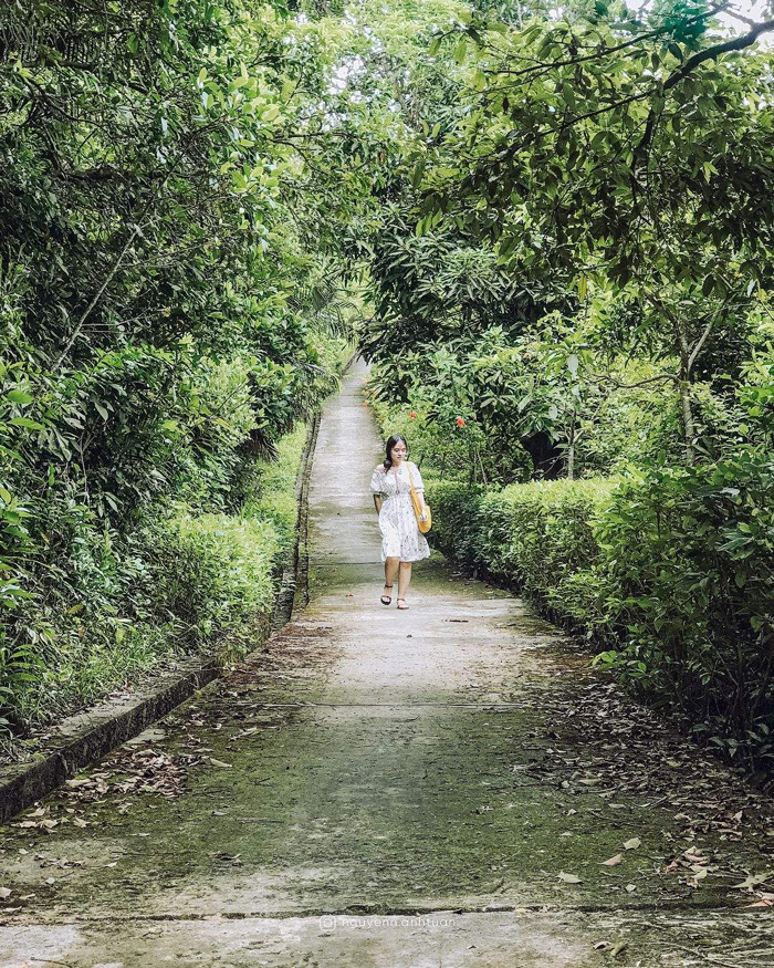 Nhất lâm thủy trang trà đà nẵng
