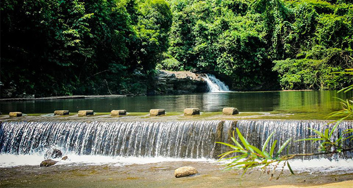 Nhất lâm thủy trang trà đà nẵng